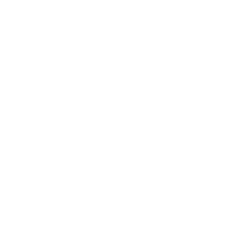 FASHION ACCESSORY ファッション小物
